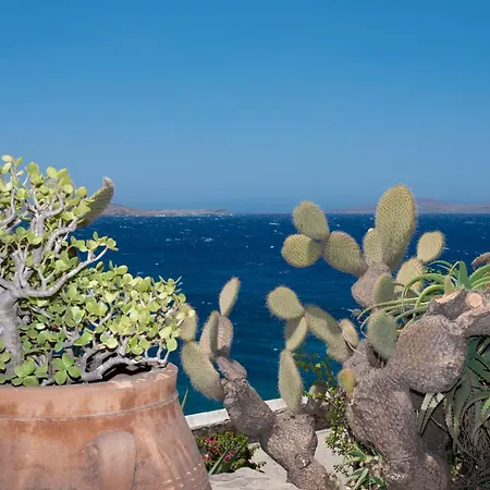 Alisahnea Mykonos *