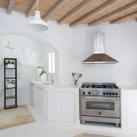 Villa Alisahnea Mykonos Agios Ioannis Diakoftis