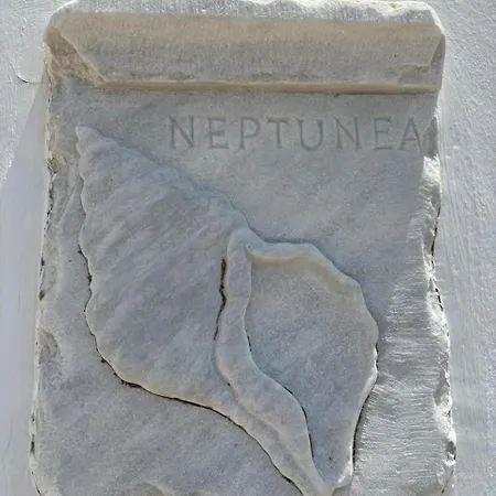 Alisahnea Mykonos Villa *