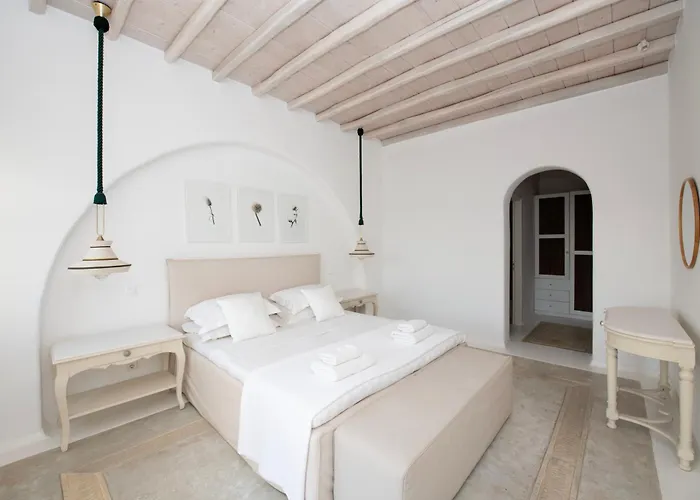 Topos Exclusive Mykonos 别墅 *