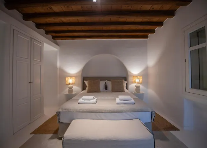 Topos Exclusive Mykonos 别墅 *